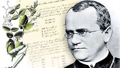 Gregor Johann Mendel Gregor Johann Mendel