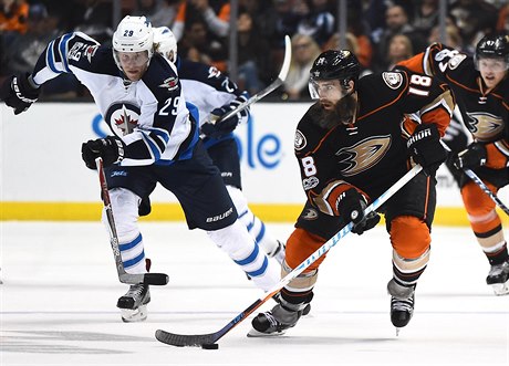 Z utkání NHL: Winnipeg Jets proti Anaheim Ducks.