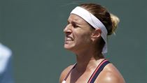 Dominika Cibulková v zápase s Lucií Šafářovou. | na serveru Lidovky.cz | aktuální zprávy