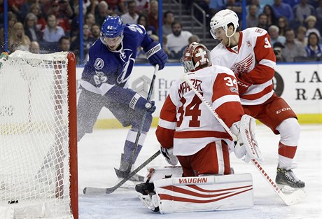 Andrej ustr (62) dává gól v zápase s Detroit Red Wings.