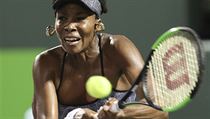 Venus Williamsov pi tenisovm utkn.