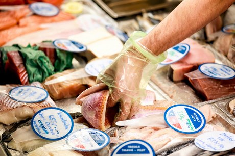 Rodinná firma Ocean48 v Brn prodává erstvé ryby. Provozuje sí obchod i...