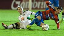 Utkání 23. kola první fotbalové ligy: FC Hradec Králové - Viktoria Plzeň.... | na serveru Lidovky.cz | aktuální zprávy
