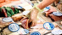 Rodinná firma Ocean48 v Brně prodává čerstvé ryby. Provozuje síť obchodů i... Rodinná firma Ocean48 v Brně prodává čerstvé ryby. Provozuje síť obchodů i...