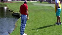 Ian Poulter a aligtor.