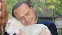 Italsk expremir Silvio Berlusconi chce zabodovat kampan pro vegetariny.