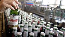 Budějovický Budvar | na serveru Lidovky.cz | aktuální zprávy
