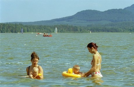 Voda v koupalitích je vtinou istá, na Máchov jezee jsou ovem sinice.