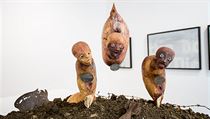 Výstava Romana Týce In Boden v DSC Gallery. | na serveru Lidovky.cz | aktuální zprávy