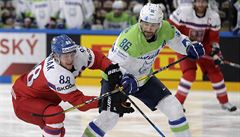 MS v hokeji 2017, esko vs. Slovinsko: David Pastrák bojuje o kotou se...