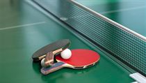 Ping-pong | na serveru Lidovky.cz | aktuální zprávy