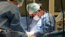 Primář plastické chirurgie Fakultní nemocnice Olomouc před kamerami s nevídanou... | na serveru Lidovky.cz | aktuální zprávy Primář plastické chirurgie Fakultní nemocnice Olomouc před kamerami s nevídanou... | na serveru Lidovky.cz | aktuální zprávy