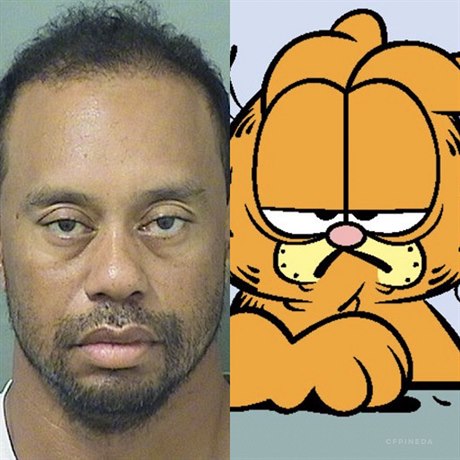 Tiger Woods a srovnání s Garfieldem.