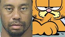 Tiger Woods a srovnn s Garfieldem.