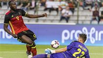 Přátelské utkání Belgie vs. Česko: Romelu Lukaku před Jiřím Pavlenkou. | na serveru Lidovky.cz | aktuální zprávy