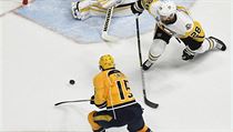 Finle NHL: Pittsburgh Penguins versus Nashville Predators.