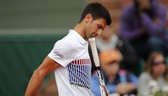 Srb Novak Djokovi ve tvrtfinále French Open proti Rakuanovi Dominiku...