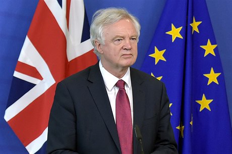 Britsk vyjednava brexitu David Davis.