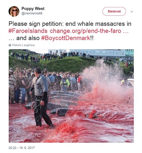 Prosím podepite petici: ukoneme velrybí masakr na Faerských ostrovech a...