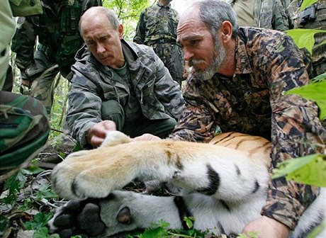 Vladimir Putin nasazuje spící tygici obojek