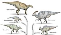 Dinosauři z nadčeledi Hadrosauroidea. | na serveru Lidovky.cz | aktuální zprávy