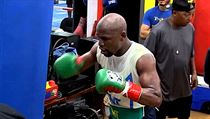 Floyd Maywether v přípravě. | na serveru Lidovky.cz | aktuální zprávy