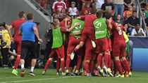 Čeští fotbalisté se radují z gólu Michala Trávníka. | na serveru Lidovky.cz | aktuální zprávy