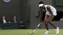 Wimbledon 2017: Amerianka Venus Williamsov v tkm souboji 1. kola proti...