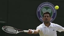 Wimbledon: Novak Djokovi v souboji s Adamem Pavlskem.