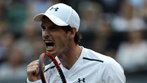 Andy Murray slaví vítězství ve 3. kole Wimbledonu | na serveru Lidovky.cz | aktuální zprávy