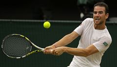 Wimbledon 2017: Adrian Mannarino z Francie v osmifinále proti Srbovi Novaku...