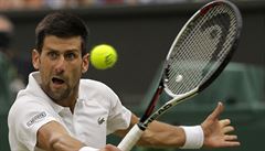 Wimbledon 2017: Srb Novak Djokovi v osmifinále.