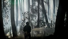 Hasi hasící ohe v lese zpsobený sopkou Vesuv.