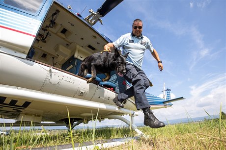 Výcvik policejních ps specializovaných na vyhledávání výbunin a pátracích ps