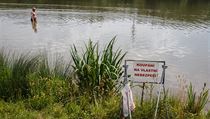 Žhne a nezaprší. Sinice se začaly množit dříve než obvykle Koupaliště - ilustrační foto. | na serveru Lidovky.cz | aktuální zprávy