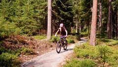 Nejadrenalinovjí zábavou na Lipn je pak bezpochyby bikepark, který nabídne...