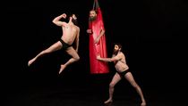 Letn Letn 2017. Cirque Alfonse - Barbu.