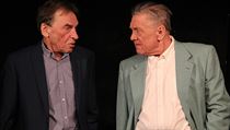 Z divadelní hry Pan Halpern a pan Johnson | na serveru Lidovky.cz | aktuální zprávy