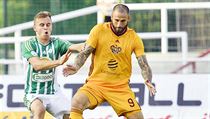 Dukla - Bohemians 1905 (Hašek se snaží obrat o míč Holendu) | na serveru Lidovky.cz | aktuální zprávy