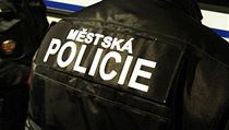 Městská policie - ilustrační foto. | na serveru Lidovky.cz | aktuální zprávy