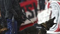 Řádění fanoušků 1. Köln v Londýně na stadionu Arsenalu i v ulicích britské... | na serveru Lidovky.cz | aktuální zprávy