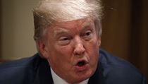 Donald Trump | na serveru Lidovky.cz | aktuální zprávy