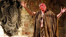 Jan Tříska v roce 2007 na Letních shakespearovských slavnostech. Ve hře Bouře... | na serveru Lidovky.cz | aktuální zprávy