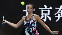 Karolína Plíšková | na serveru Lidovky.cz | aktuální zprávy