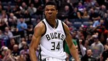 Jannis Antetokunmpo v NBA v minulé sezoně zazářil. | na serveru Lidovky.cz | aktuální zprávy