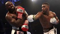 Anthony Joshua bije Carlose Takama. | na serveru Lidovky.cz | aktuální zprávy