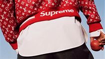 Francouzský módní dům Louis Vuitton, který je výrobcem slavných kožených... | na serveru Lidovky.cz | aktuální zprávy
