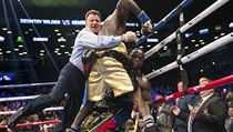Deontay Wilder právě knockoutoval Bermana Stiverna. | na serveru Lidovky.cz | aktuální zprávy