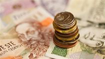 Potvrzeno. Minimální mzda se od ledna zvýší na 14 600 korun měsíčně, naroste tak o 1250 korun Peníze, ilustrační foto. | na serveru Lidovky.cz | aktuální zprávy