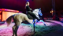 Cirkus Berousek: drezura koní. | na serveru Lidovky.cz | aktuální zprávy